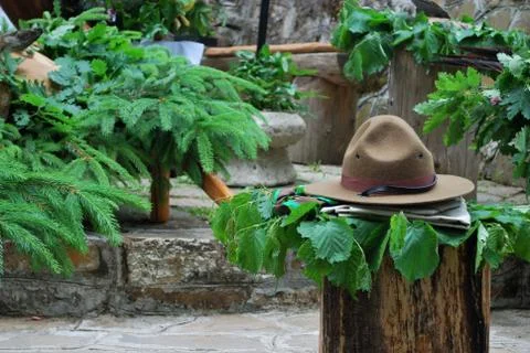 Scouting Stock Photos