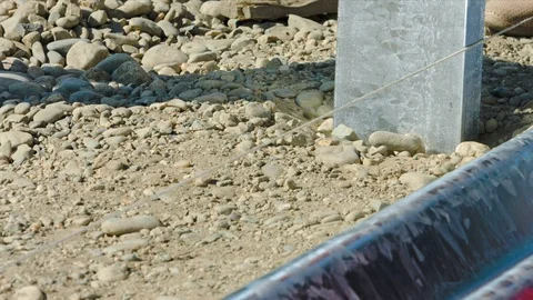 Scramble to the ground Vídeo Stock 94722594