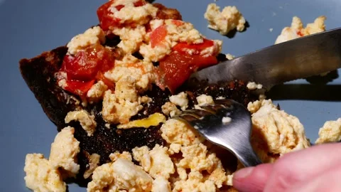 Scrambled egg and tomatoes on toast for breakfast Stock Footage 218619859
