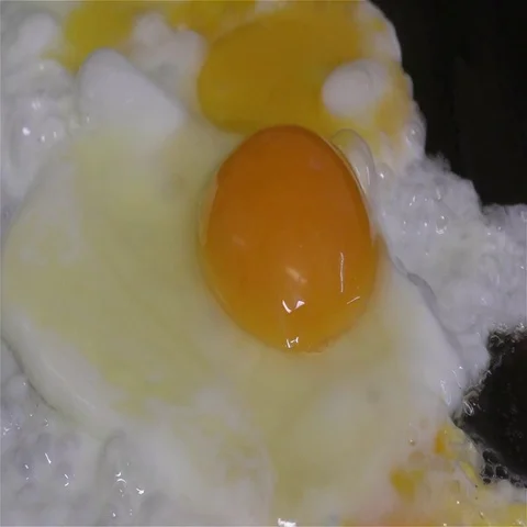 Scrambled eggs and spices Stock Footage 69285748