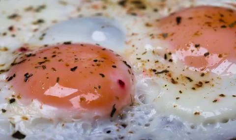 Scrambled eggs closeup Stock Photos