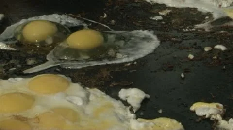 Scrambled eggs Stock-Footage 10861288