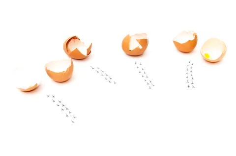 Scrambled eggs with footprints Stock Photos