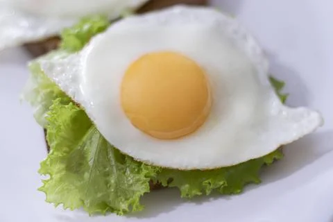 Scrambled eggs with lettuce for breakfast Stock Photos