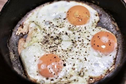 Scrambled eggs Stock Photos