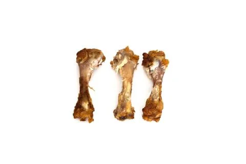Scrap of chicken bones Stock Photos