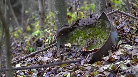 Scrap in nature. Garbage in nature Stock Footage 145203834