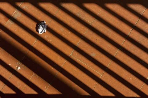 Scrap paper Stock Photos