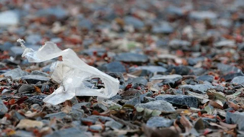 A scrap of plastic on the ground. Stock Footage 128270353
