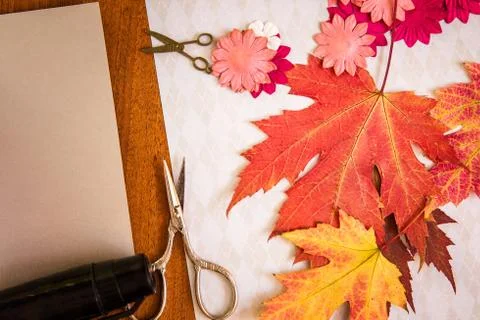 Scrapbooking elements and accessories Stock Photos