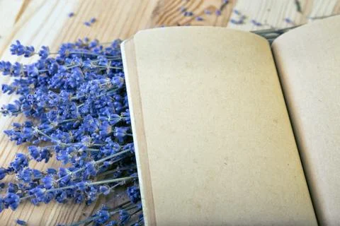 Scrapbooking Foto stock