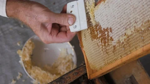 Scraper for the honeycomb. Work with a comb to print out a honeycomb. Mature hon Stock Footage 139768024