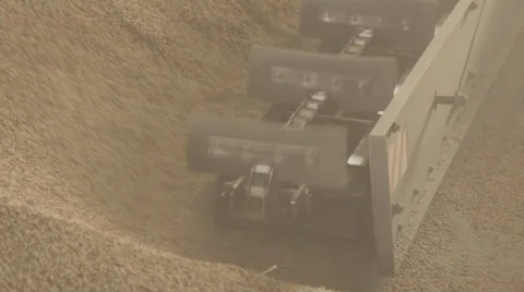 Scraper loader delivers grain, screw conveyor to load Stock Footage 63997811