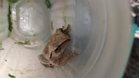 The scraper is stuck in the bottle Stockbeeldmateriaal 259172579