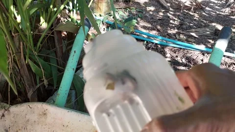 The scraper is stuck in the water jar Stock Footage 259172573