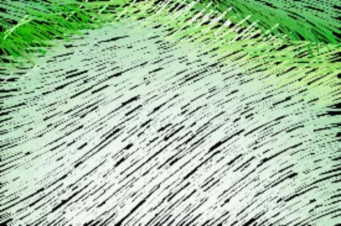 Scraperboard pattern Illustrazione stock