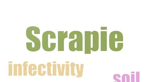 Scrapie Word Cloud Animated On White Bac... | Stock Video | Pond5