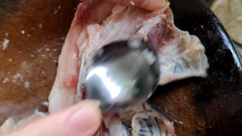Scraping the fish meat with a stainless spoon Stock Footage 305258689