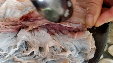 Scraping the fish meat with a stainless spoon Stock Footage 305258691