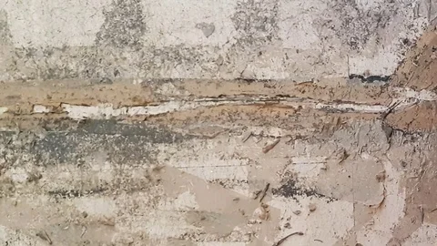 Scraping floor with spatula 動画素材 72574863