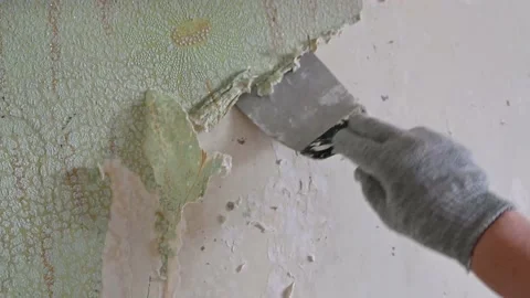 Scraping old wallpaper from the wall with spatulas and improvised means Stock Footage 168713759