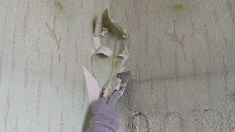 Scraping old wallpaper from the wall with spatulas and improvised means Stock Footage 168713831