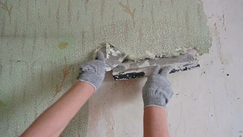 Scraping old wallpaper from the wall with spatulas and improvised means Stock Footage 168796121