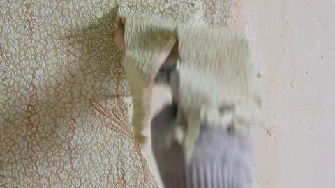 Scraping old wallpaper from the wall with spatulas and improvised means Stock Footage 168796184