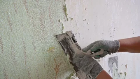 Scraping old wallpaper from the wall with spatulas and improvised means Stock Footage 168796213