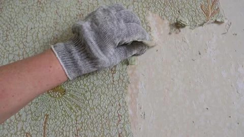 Scraping old wallpaper from the wall with spatulas and improvised means Stock Footage 168873882