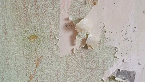 Scraping old wallpaper from the wall with spatulas and improvised means Stock Footage 168873928