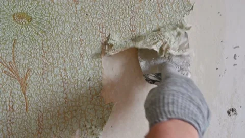 Scraping old wallpaper from the wall with spatulas and improvised means Stock Footage 168873972