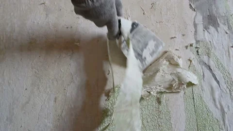 Scraping old wallpaper from the wall with spatulas and improvised means Stock Footage 168920986
