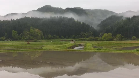 Scraping rice fields with a tractor Stock Footage 144721449
