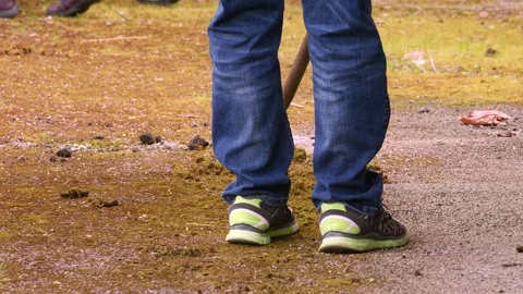Scraping thick moss off the ground outside Stock Footage 271236507
