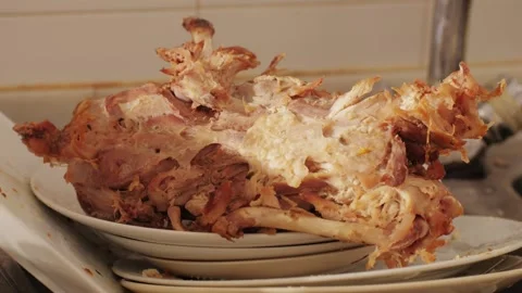 Scraps, Bones and goose or chiken skeleton on dirty dishes and mess after a Stock Footage 264464945