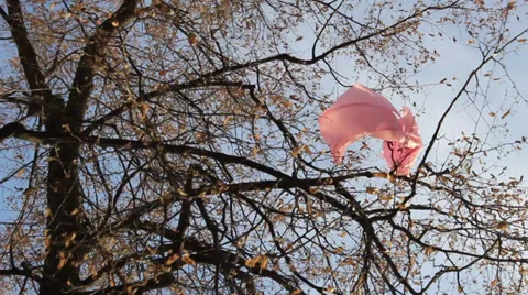 Scraps Chinese lantern Stock Footage 33794226