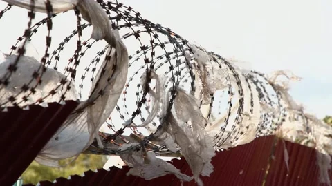 Scraps of white polyethylene on barbed wire Stock Footage 142265612