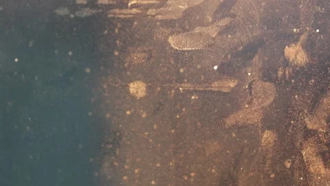 Scratch and grunge texture on glass window Stock Footage 294862121