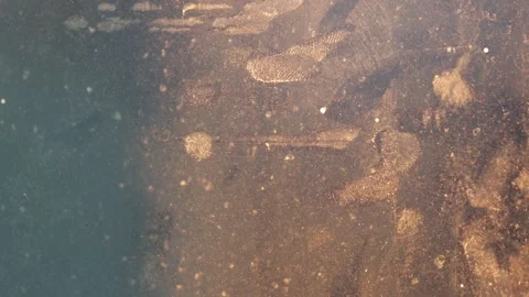 Scratch and grunge texture on glass window Stock Footage 294862225