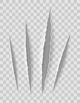 Scratch claw cuts paper with transparent shadows for design vector illustrati Stock Illustration