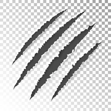 Scratch Claws of Animal Stock Illustration