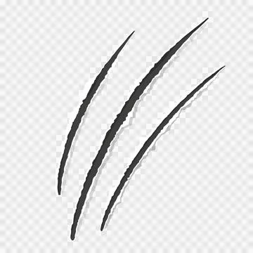 Scratch mark claw trace wild animal nails scratches textured torn paper edge on Stock Illustration
