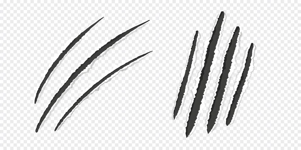 Scratch mark claw trace wild animal nails scratches textured torn paper edge on Stock Illustration