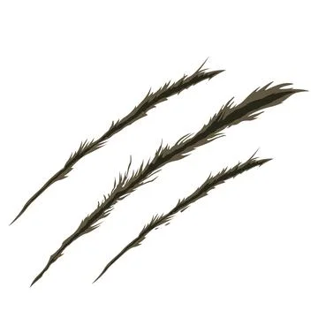 Scratch mark Stock Illustration