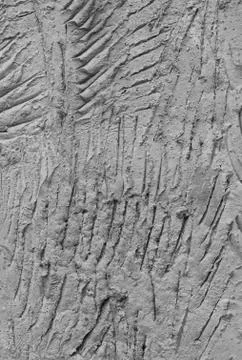 Scratch marks Stock Photos