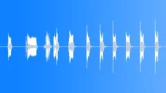 Scratch Record Records Record Scratches Int Close Up Various Short & Long Rip L Sound Effect
