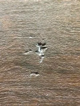Scratch on wooden surface Stock Photos