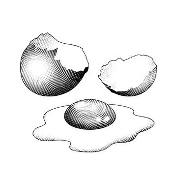 Scratchboard Engraved Broken Egg Stock Illustration