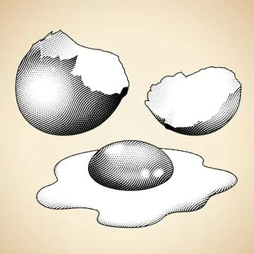 Scratchboard Engraved Broken Egg with White Fill Stock Illustration